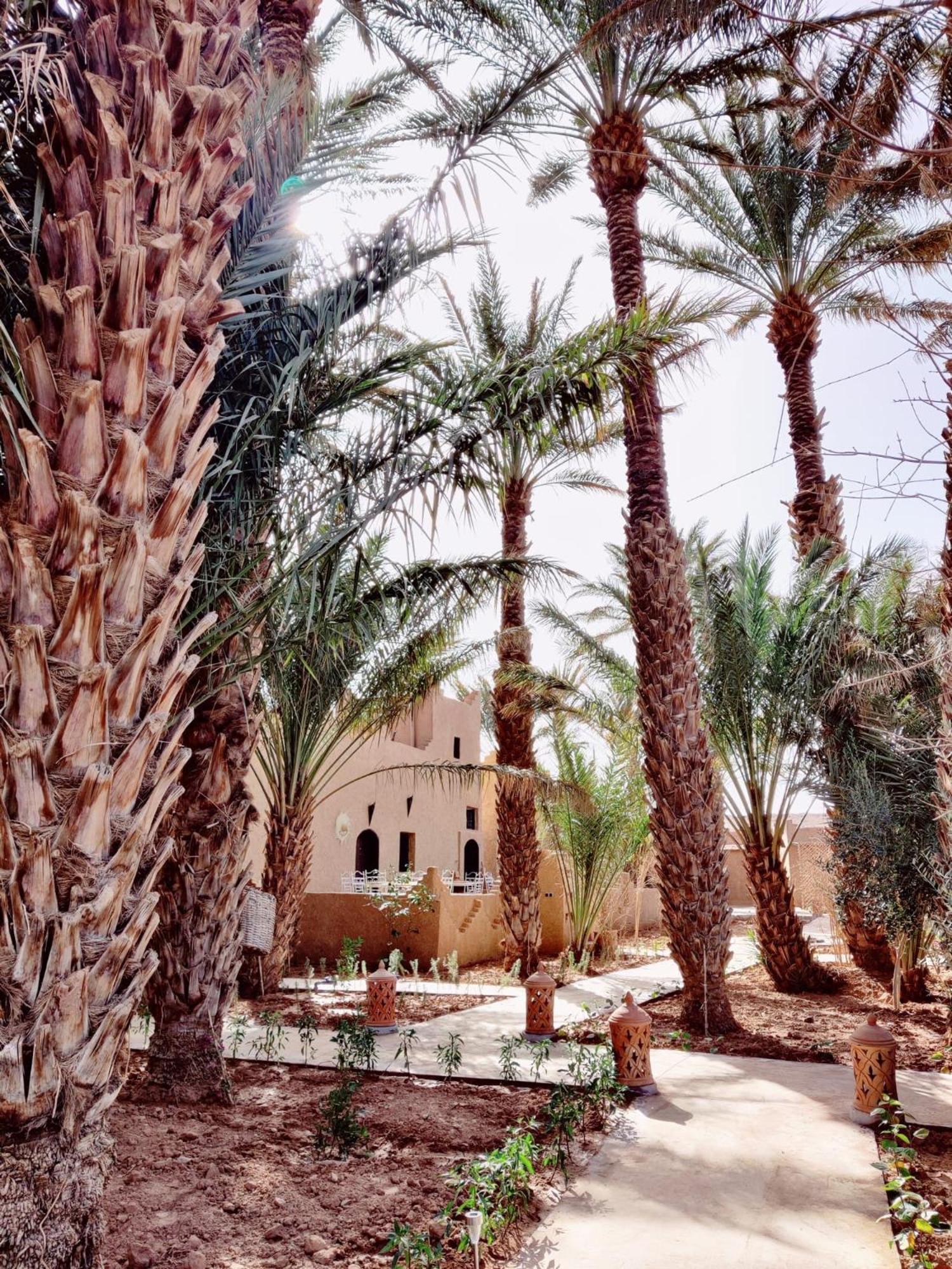 Zagora Oasis Lodge Exterior foto